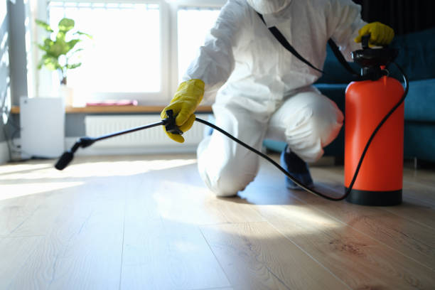 Reliable Odor Removal contractor in South Jamesport, NY by Dulley Family Biohazard Services
